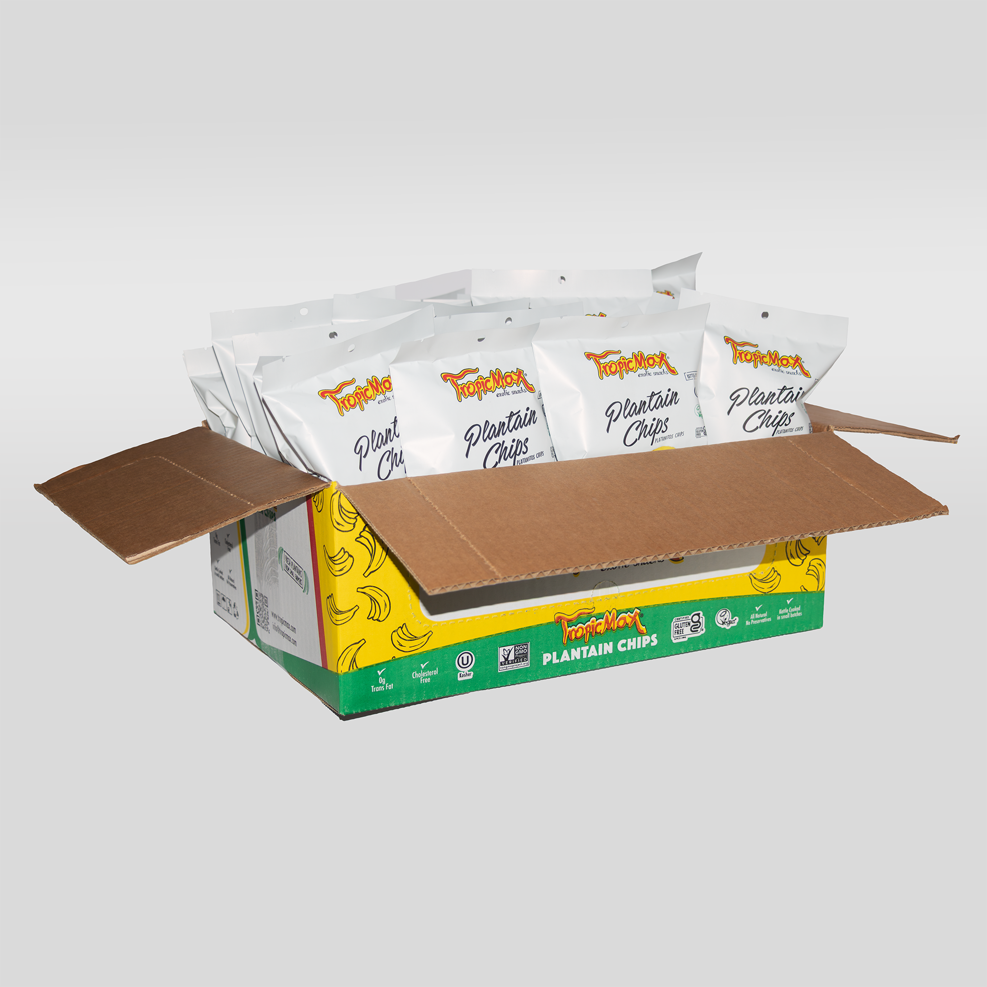 TropicMax Pack of 24 bag of Plantain Chips salted 2 oz